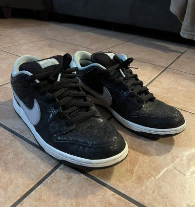 Nike Sb Dunk Low Lance Mountain