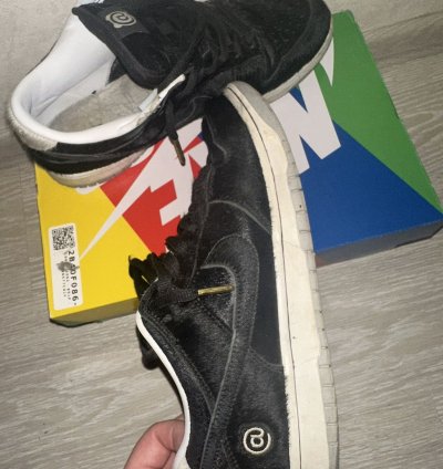 Nike Sb Dunk Low Medicom Toy