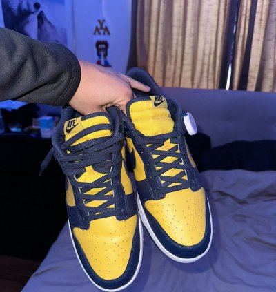 Nike Sb Dunk Low Michigan National Champions Size 12