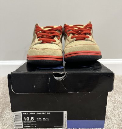 Nike Sb Dunk Low Money Cat