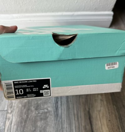 Nike Sb Dunk Low Night Of Mischief Size 10