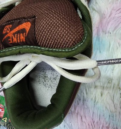 Nike Sb Dunk Low Oompa Loompa