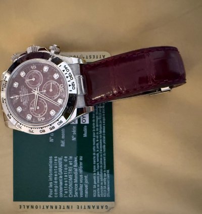 Rolex Daytona Rubellite