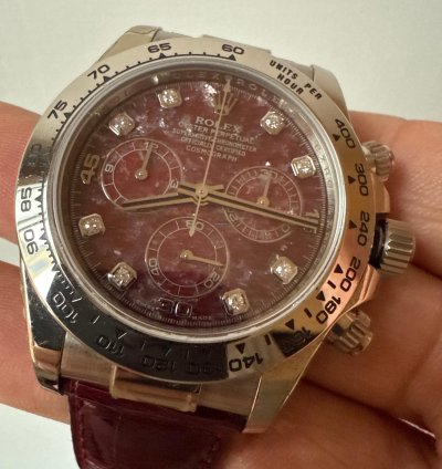 Rolex Daytona Rubellite