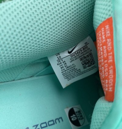 Nike Sb Dunk Low Orange Emerald Rise Men Size 10 New
