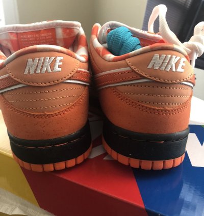 Nike Sb Dunk Low Orange Lobster