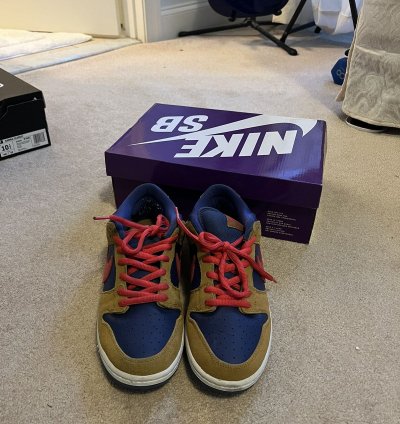 Nike Sb Dunk Low Papa Bear