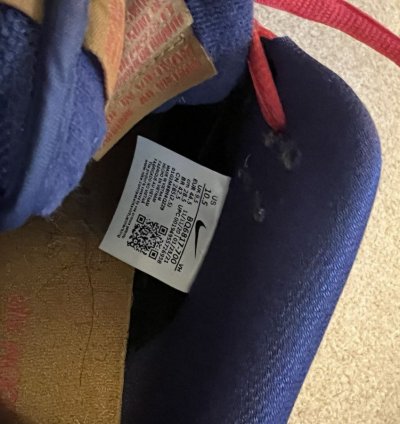 Nike Sb Dunk Low Papa Bear