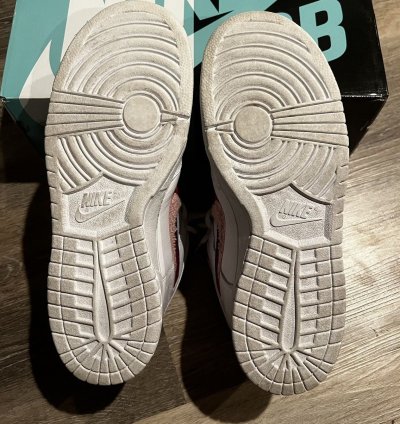 Nike Sb Dunk Low Parra