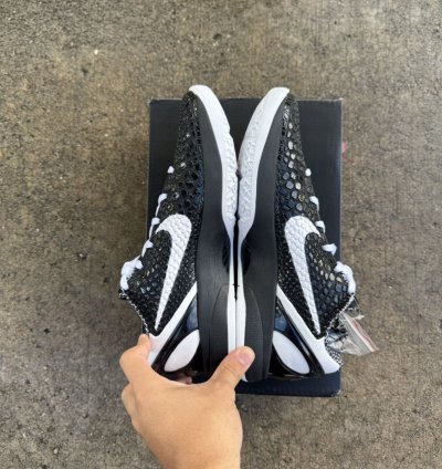 Kobe 6 Protro Mambacita