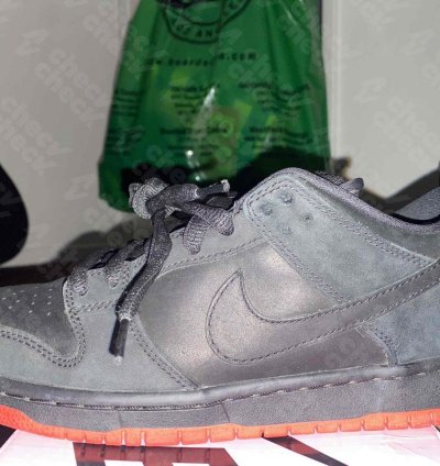 Nike Sb Dunk Low Pigeons