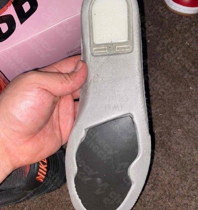 Nike Sb Dunk Low Pigeons