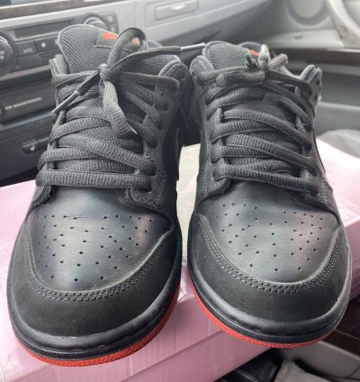 Nike Sb Dunk Low Pigeons