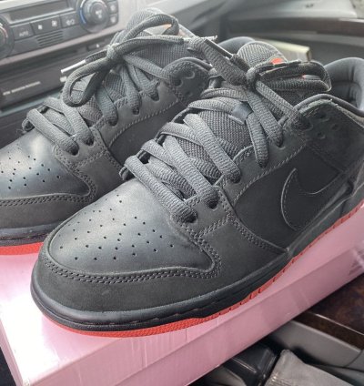 Nike Sb Dunk Low Pigeons