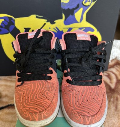 Nike Sb Dunk Low Premier Fish Ladder