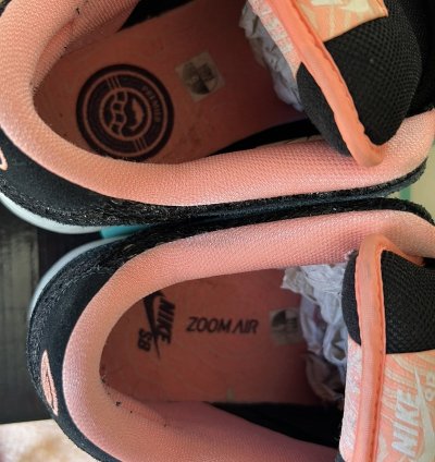 Nike Sb Dunk Low Premier Fish Ladder