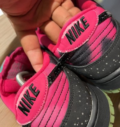 Nike Sb Dunk Low Premier Northern Lights