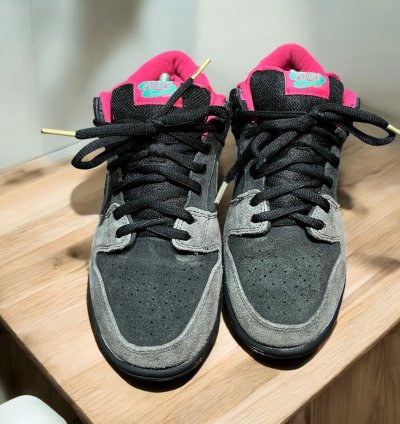 Nike Sb Dunk Low Premier Northern Lights