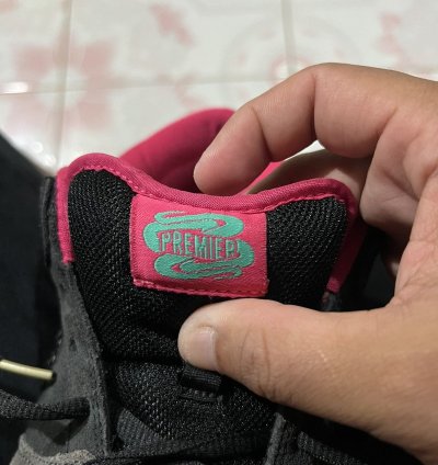 Nike Sb Dunk Low Premier Northern Lights