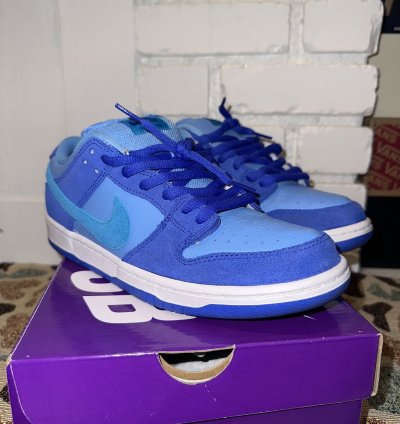 Nike Sb Dunk Low Pro