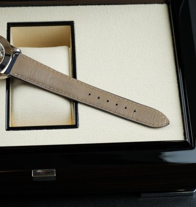 Patek Philippe Perpetual Calendar Grand Complications 5320g-001 Complete