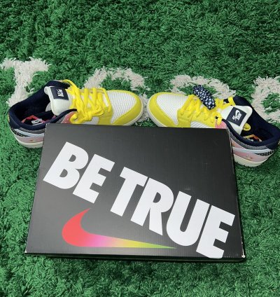 Nike Sb Dunk Low Pro Be True Xavier Schipani Size 11