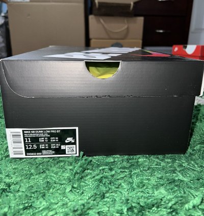 Nike Sb Dunk Low Pro Be True Xavier Schipani Size 11