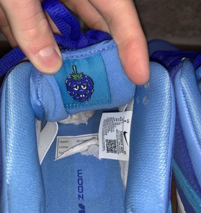 Nike Sb Dunk Low Pro Blue Raspberry