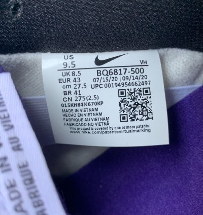 Nike Sb Dunk Low Pro Court Purple