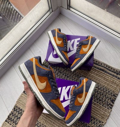 Nike Sb Dunk Low Pro Light Carbon Sk8 Shoes Very Rare New