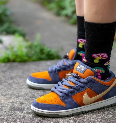 Nike Sb Dunk Low Pro Light Carbon Sk8 Shoes Very Rare New