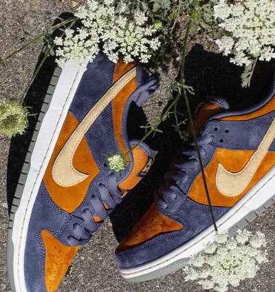 Nike Sb Dunk Low Pro Light Carbon Sk8 Shoes Very Rare New