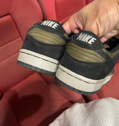 Nike Sb Dunk Low Pro Loden