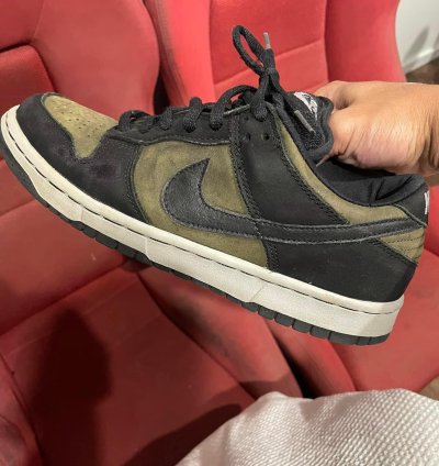 Nike Sb Dunk Low Pro Loden