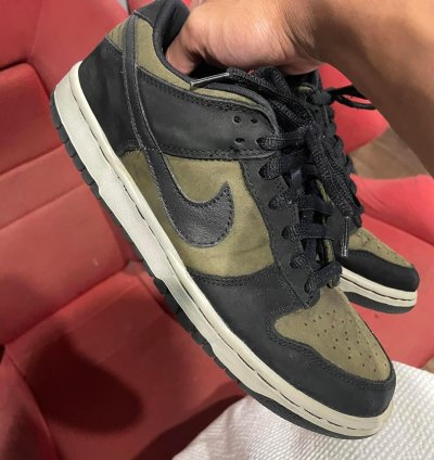 Nike Sb Dunk Low Pro Loden