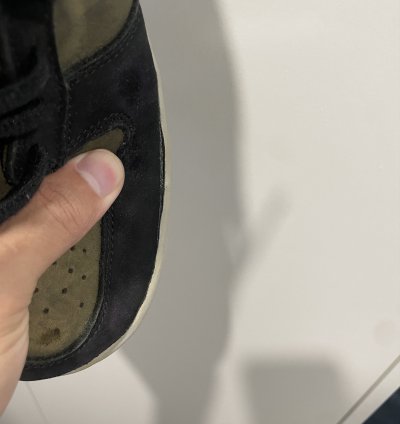 Nike Sb Dunk Low Pro Loden