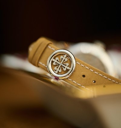 Patek Philippe Perpetual Calendar In-line Perpetual Calendar 5236p-001 Platinum