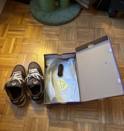 Nike Sb Dunk Low Pro Prm - Paisley Brown