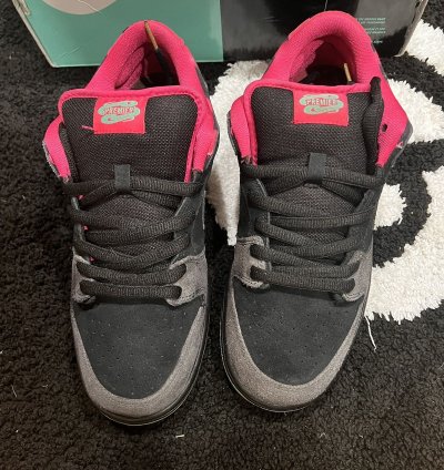 Nike Sb Dunk Low Pro Qs Premier Northern Lights Sz 10 5