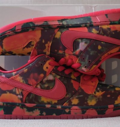 Nike Sb Dunk Low Pro Qs Wizard Of Oz 2024 10 Fz1291-600