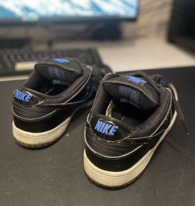 Nike Sb Dunk Low Pro Space Jam