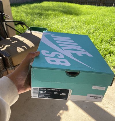 Nike Sb Dunk Low Pro Thunderstorm