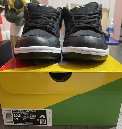 Nike Sb Dunk Low Pro Wasted Youth