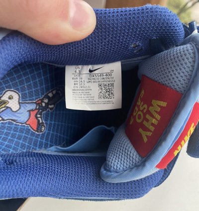 Nike Sb Dunk Low Pro Why So Sad