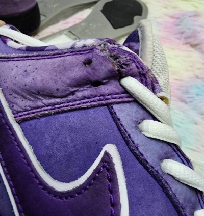 Nike Sb Dunk Low Purple Lobster
