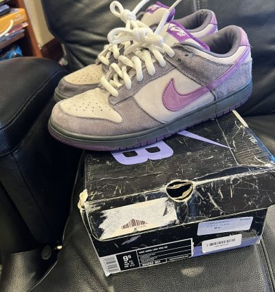 Nike Sb Dunk Low Purple Pigeon 2006