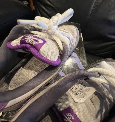 Nike Sb Dunk Low Purple Pigeon 2006