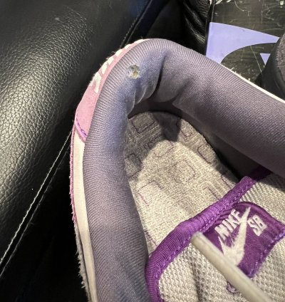 Nike Sb Dunk Low Purple Pigeon 2006