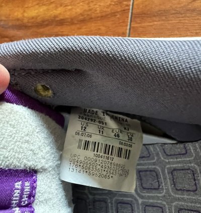 Nike Sb Dunk Low Purple Pigeon Og Box