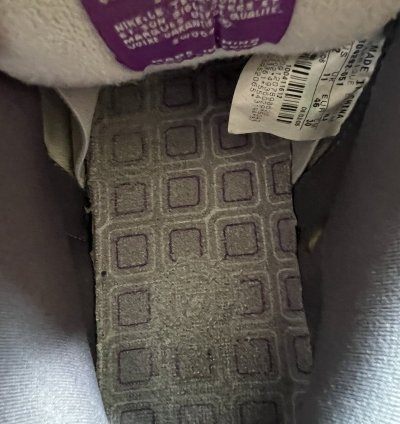 Nike Sb Dunk Low Purple Pigeon Og Box